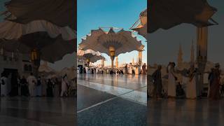 Masjid Nabwi Darood Sharif Allahhuma salleala daroodsharif madina umbrella yt shorts fyp [upl. by Celik]