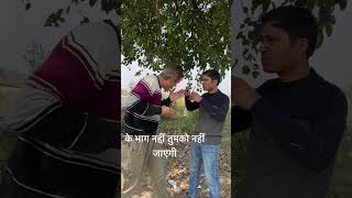 Chota Aadmi ek din bada banta he funny memes comedyshorts [upl. by Ymereg]