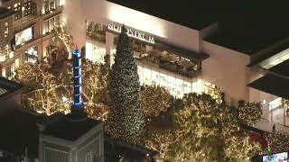 Christmas tree lighting ceremony at The Grove [upl. by Hutt]