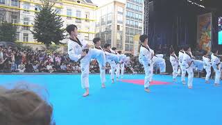 Taekwondo Kukkiwon Demonstration Team  Festival Coréen Bruxelles 25092021 [upl. by Gusba440]