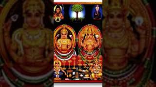 Choottanikkara Amma 🙏Song [upl. by Naivaj769]