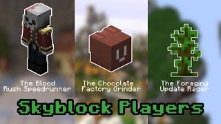 Different Types of Hypixel Skyblock Players [upl. by Adnik246]