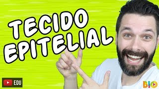 TECIDO EPITELIAL  HISTOLOGIA  Aula  Biologia com Samuel Cunha [upl. by Atsuj427]