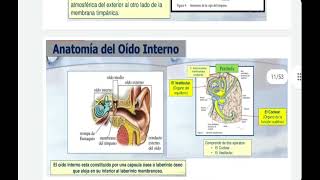 Otorrinolaringología  Anatomía y Fisiología del Opido Nariz y Garganta 11 [upl. by Egamlat]