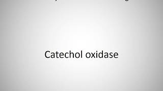 How to say Catechol oxidase in English [upl. by Retsevlys]