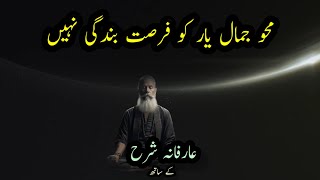 Mehv e Jamal e Yaar Ko  Sufiana kalam  Qawwali  Mehv e Raqs [upl. by Ardnak]