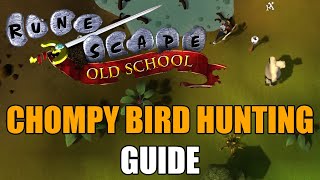 Chompy Bird Hunting Guide  Old School RuneScape [upl. by Gnilyarg21]