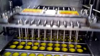 Fruit pitting machine dates olives cherry pitting machine 0086 13613837205 [upl. by Daffy]