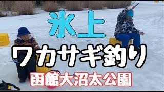 ワカサギ釣り❗️その場で天婦羅！函館大沼太公園は何匹釣れる？【北海道旅行】 [upl. by Kelcey]