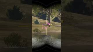 Red deer 4 colinas thehuntercallofthewild shorts [upl. by Ehrsam101]