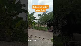 Tabak video atau fot9 [upl. by Nevet274]