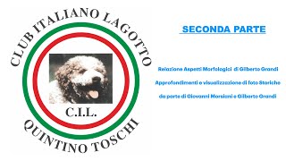 IL LAGOTTO ROMAGNOLO AGGIORNAMENTO SU ASPETTI MORFOLOGICI E DI LAVORO 2° PARTE [upl. by Dibbell610]