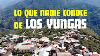 LA RUTA DE LA INDEPENDENCIA EN LOS YUNGAS  Muy Interesante Turismo e Historia [upl. by Artur]