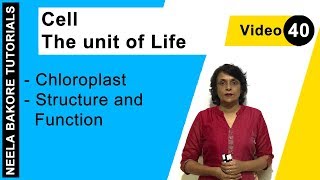 Cell  The unit of Life  NEET  Chloroplast  Structure and Function  Neela Bakore Tutorials [upl. by Hebner613]