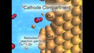 CuZn Electrochemical Cell Animation [upl. by Nibroc]