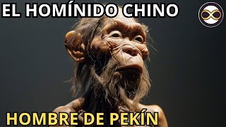 Conoce al Hombre de Pekín  el Homínido CHINO [upl. by Nylodnarb]