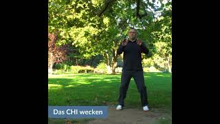 ☯️ DAS CHI WECKEN ✨TaiChi Übungen für Anfänger ☯️ [upl. by Dumah]