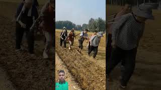 Chaina technology farming agriculture farmingfunny ytshortsvideo farmer funny amazing facts [upl. by Durkin]