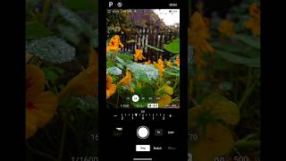 Create DSLRLike Photos with Just Your Phone trendingshorts [upl. by Nassah195]