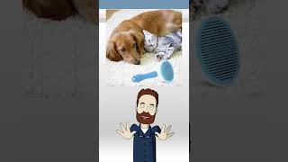 Pet Grooming Shedding Brush for Dogs and Cats shorts unrivalledgadgets [upl. by Shelden]