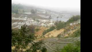 China Terrace Fields in Yuanyang Yunnan 雲南省元陽の棚田 [upl. by Quinlan609]