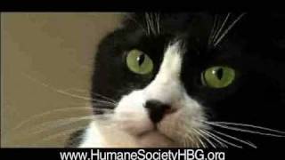 Humane Society Cruelty Commercial [upl. by Anile]