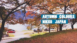 Peak Fall Foliage in Nikko Japan experience autumn  Autumn colors  Beautiful 日光 [upl. by Emery]