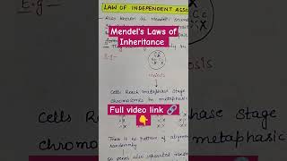 Mendels Laws of Inheritance shorts youtubeshorts shortvideo biobookie inheritance alleles [upl. by Fulcher]