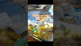 Zandvoort kibbeling van Floor [upl. by Geno]