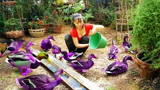 Harvesting Geese Go To Market Sell Buy Baby Geese To Raise  Anh Free Bushcraft [upl. by Ainival]