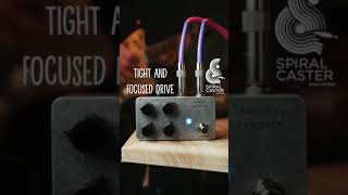 5 sounds from the new Fairfield Circuitry About 900 Fuzz 900 [upl. by Ahsienar]