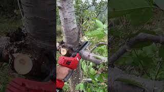 Rechargeable lithium chainsaw electric sawchainsaws hardwaretoolsviralvideo foryou [upl. by Ayr]