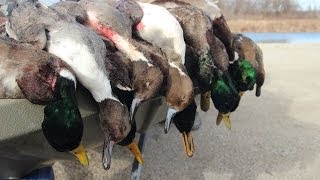 Duck Hunting Public Land Stacked Against Us  Fowled Reality [upl. by Nicole]