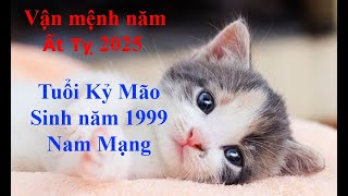 Tử vi Tuổi Kỷ Mão 1999 Nam mạng năm Ất Tỵ 2025 Sự nghiệp tài vận tình duyên và gia đạo [upl. by Sindee]