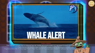 How To Avoid the Whale Trap Spot Big Moves in Crypto  MemeFi [upl. by Costin750]