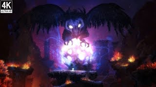 Ori and the Blind Forest  All the escapes No Damage 4K 60FPS [upl. by Lohrman]