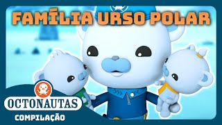 Octonautas  🐻‍❄️ Missões Árticas da Família Urso Polar 🐾  Compilação  Episódios inteiros [upl. by Auqined]