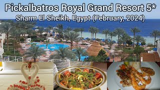 Pickalbatros Royal Grand Resort  Sharm El Sheikh Egypt Febuary 2024 [upl. by Anuahc]