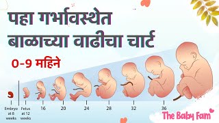 Baby Growth chart from 0 to 9 months  fetus growth in womb  Baby growth week by week in pregnancy [upl. by Phox]