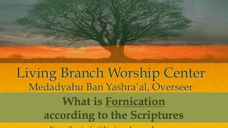 What Is Fornication According To Scripture [upl. by Aihsinyt870]