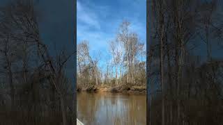 Hatchie river Hwy 100 all videos [upl. by Ebanreb611]