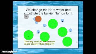 Conductivity Titrations [upl. by Eiramanitsirhc733]