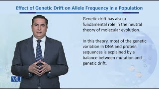 Effect of Genetic Drift on Allele Frequencies  Biodiversity amp EvolutionII  BT201Topic167 [upl. by Naul]