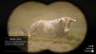 Red Dead Redemption 2  RDR2  DEVON BULL  LOCATION  ZOOLOGIST 15 [upl. by Ahsaek558]