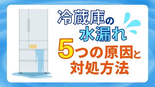 冷蔵庫から水漏れが！5つの原因と自分で直せる対処法を大公開！ [upl. by Eirallih414]