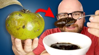 Black Sapote  The Fruit that TASTES LIKE CHOCOLATE PUDDING Does IT [upl. by Pazice]