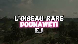 LOISEAU RARE feat EJ ZANETTI CLIP VISUALISEZ officiel [upl. by Angeli]