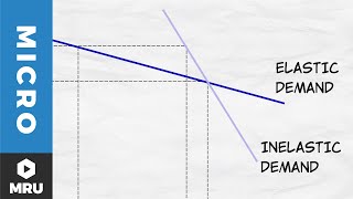 Elasticity of Demand [upl. by Martica]