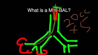 What is a Mini BAL Bronchoalveolar Lavage [upl. by Aminta]