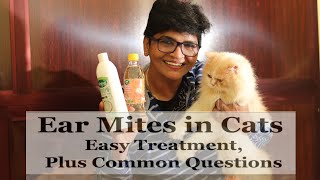 Home Remedies  Ear Mites in Cats  EasyTreatment  Common Questions  Nandas PetsUs  Vanaja Subash [upl. by Zingg515]